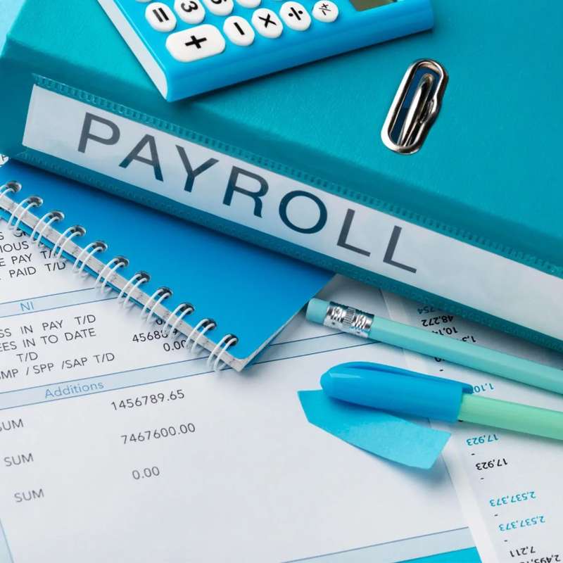 Professional Payroll Processing Services for UK Businesses